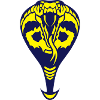 snake cobra