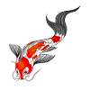 Koi