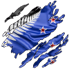 New Zealand Flag Inside