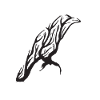 corbeau noir
