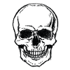 Skull Skull Skull Skull