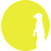 erdmaennchen mond