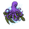 Octopus and the turtle