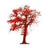  Tree Illustration