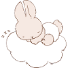 Baby Bunny sleeping on cloud
