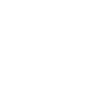 Seashell beach sea water