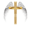 Polygone croix avec ailes