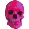Pink Skull