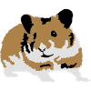 hamster