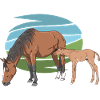Mare and Foal