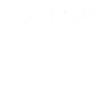 Equitation Evolution
