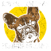 Bouledogue français bouledogue français