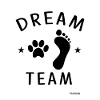 Dream Team Chat