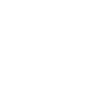 Special Agent