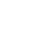 Armes et tactiques spéciales - SWAT