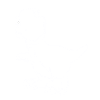 petit bébé doux Dino