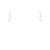 Herrin SM T-Shirt Evolution