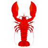Lobster Hipster Animal 2019