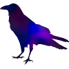 Galaxy Crow