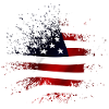 USA - America - fan