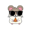 chinchilla