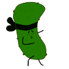Concombre de Karaté