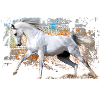 Horse beauty - Gift