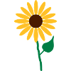 Blume