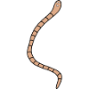 Asticot