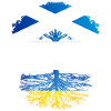 Scottish Grown With Ukrainian Roots