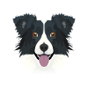 Illustration Border Collie