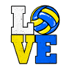 Volleyball