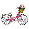 Bicycle with hydrangeas