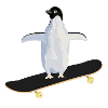 Penguin on a skatboard