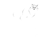 Chats Ragdoll