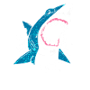 Shark shark shark