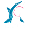 Requin requin