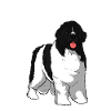 Landseer Dog Dog Dog Gift