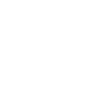 dinosaur