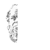 Socrates