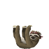 Code stuc | IT | promoteur