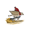 Quail on skateboard / quail