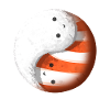 Sushi Tao Yin Yang