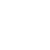 skier