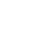 introvert
