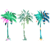 Palm trees