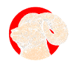 Widder Schaf Mufflon