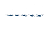 spejder