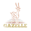 Gazelle antelope