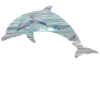 Save the dolfins